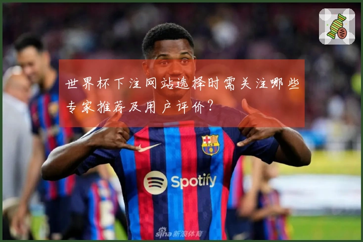 世界杯下注网站选择时需关注哪些专家推荐及用户评价？