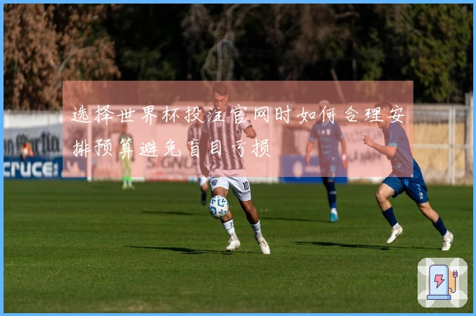 选择世界杯投注官网时如何合理安排预算避免盲目亏损
