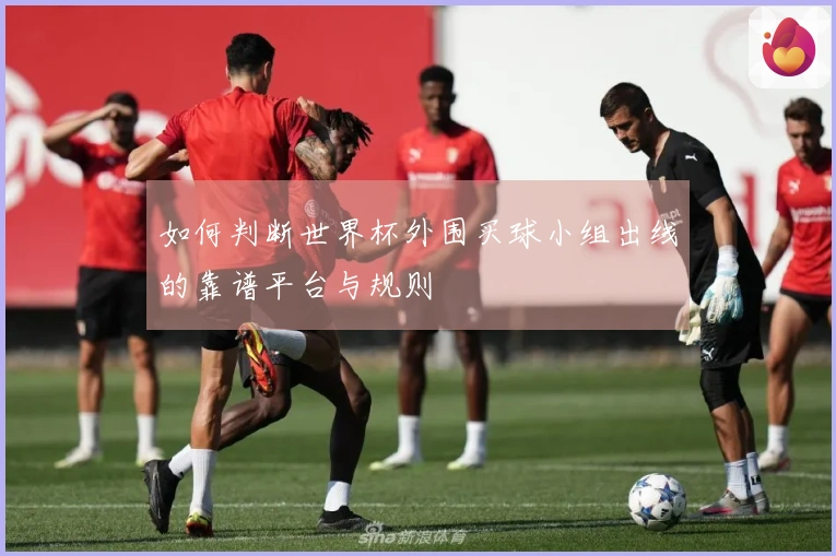 如何判断世界杯外围买球小组出线的靠谱平台与规则