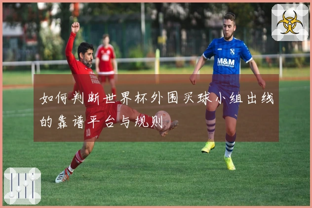 如何判断世界杯外围买球小组出线的靠谱平台与规则